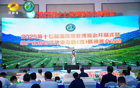 理想华莱闪耀第十七届湖南茶博会 双项荣誉彰显黑茶领军企业实力