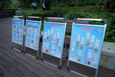 完美公司：以公益之心，护航“无毒社会·完美人生”