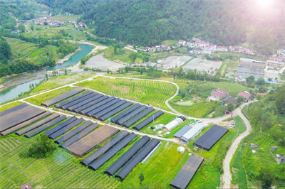 无限极养固健道地灵芝中草药溯源之旅举行