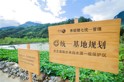 无限极养固健道地灵芝中草药溯源之旅举行