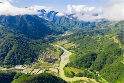 无限极养固健道地灵芝中草药溯源之旅举行