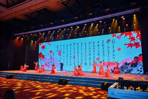 绿之韵胡国安参加第四届长沙市旅游发展大会