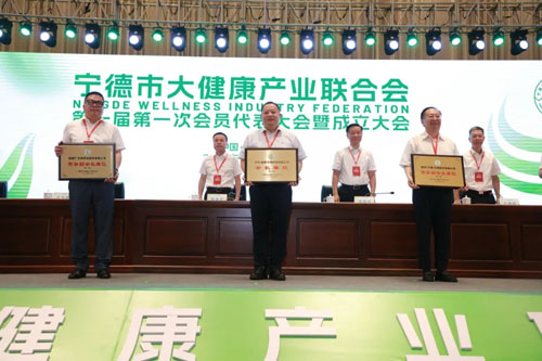 宁德市健康产业联合会成立 安发当选会长单位