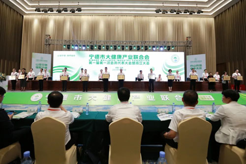 宁德市健康产业联合会成立 安发当选会长单位