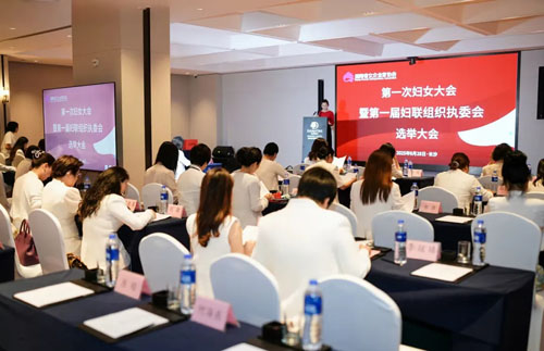 绿之韵劳嘉当选湖南省女企业家协会妇联主席