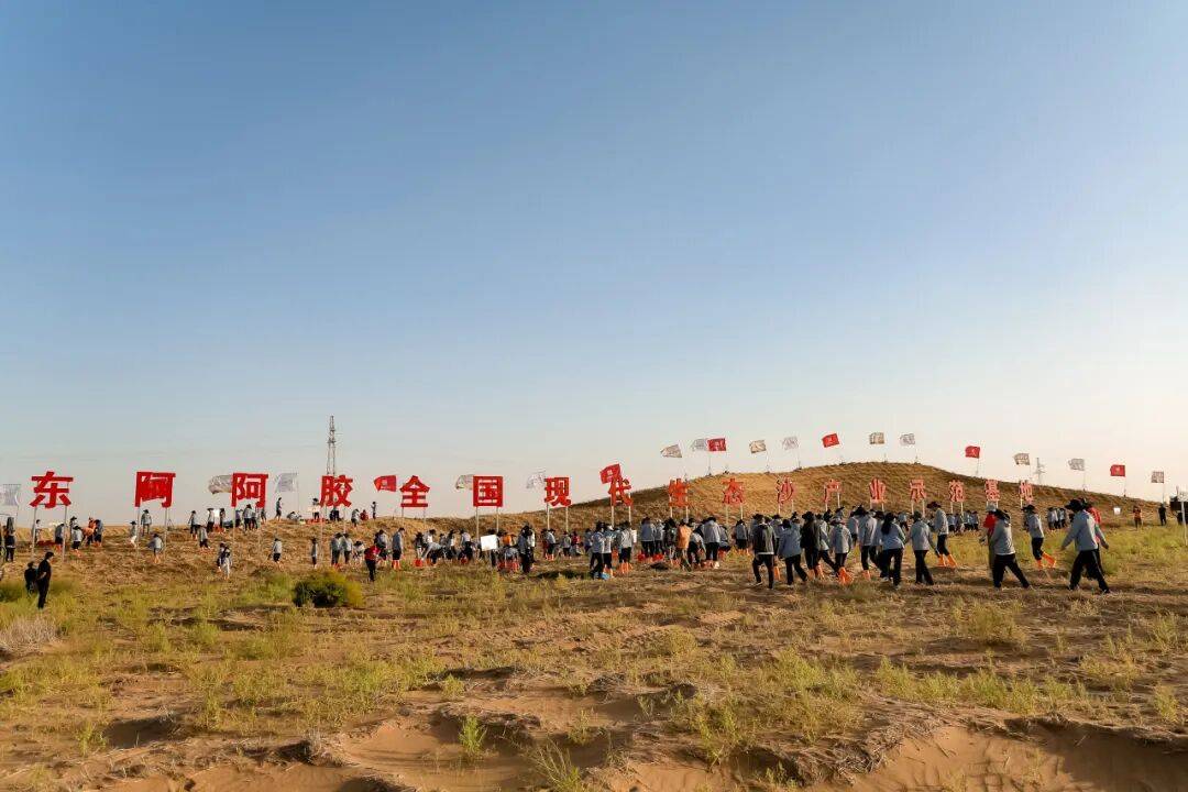 缘聚大漠 胸怀四海 | 东阿阿胶：向善而行 绿富同兴