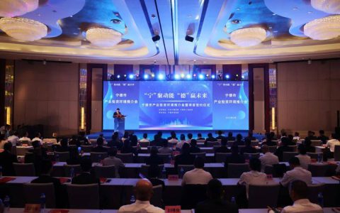 安发总裁高炜参加宁德市产业投资环境推介会并做主题发言