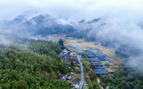 无限极 | 养固健中草药种植管理模式升级发布暨专业论坛即将开启