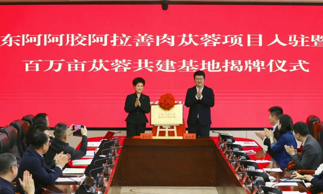 缘聚大漠 胸怀四海 | 东阿阿胶：向善而行 绿富同兴