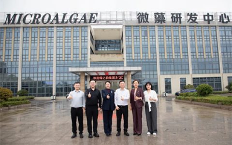 绿之韵集团-赐百年微藻联合创新实验室落户江苏