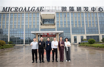 绿之韵集团-赐百年微藻联合创新实验室落户江苏