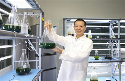 绿之韵集团-赐百年微藻联合创新实验室落户江苏