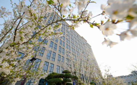 从黄浦江边到北美:春芝堂用技术传递中国温度