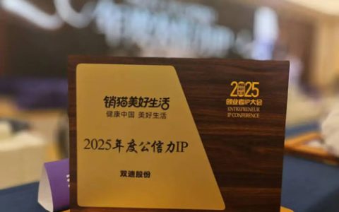 IP打造与数字化创新 双迪荣获双项IP大奖