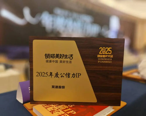 IP打造与数字化创新 双迪荣获双项IP大奖
