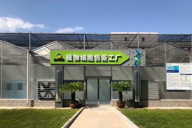 金木:铁皮石斛产业化发展踏上精准智造新路径