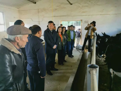 三八妇乐袁晓峰获“民建全国社会服务工作先进个人”