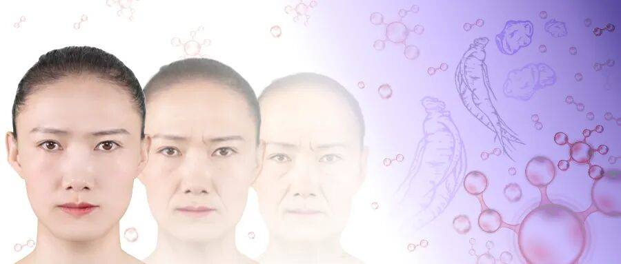 无限极 | 中式细胞延衰方案：从草本到细胞，健康寿命可感知