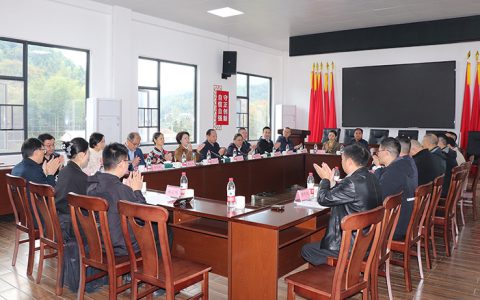 绿之韵胡国安代表陪同长沙市人大常委会副主任李平一行赴浏阳调研乡村振兴工作