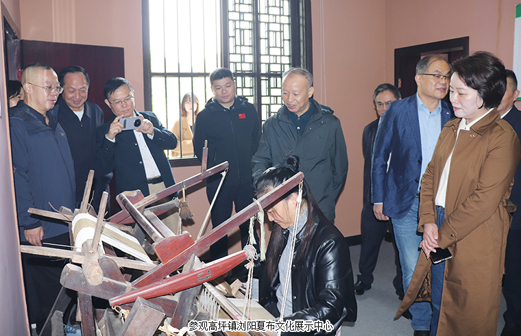 绿之韵胡国安代表陪同长沙市人大常委会副主任李平一行赴浏阳调研乡村振兴工作