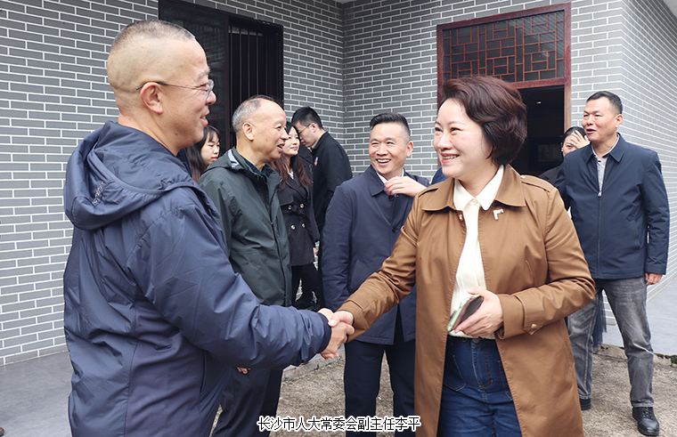 绿之韵胡国安代表陪同长沙市人大常委会副主任李平一行赴浏阳调研乡村振兴工作