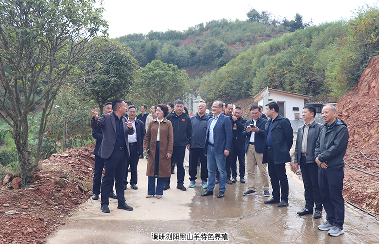 绿之韵胡国安代表陪同长沙市人大常委会副主任李平一行赴浏阳调研乡村振兴工作