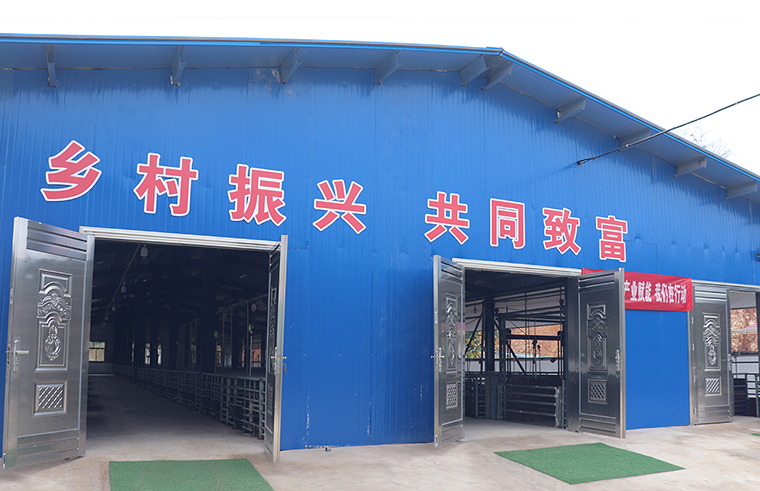 绿之韵胡国安代表陪同长沙市人大常委会副主任李平一行赴浏阳调研乡村振兴工作