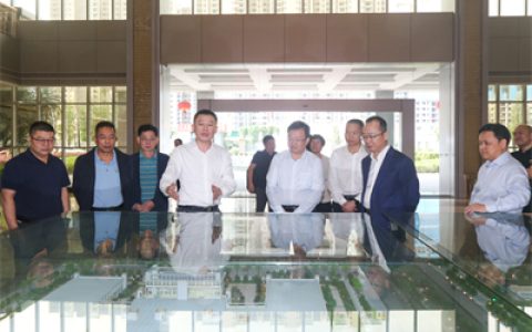 茂名农垦集团有限公司党组书记陈光义一行调研康美药业