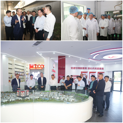 茂名农垦集团有限公司党组书记陈光义一行调研康美药业