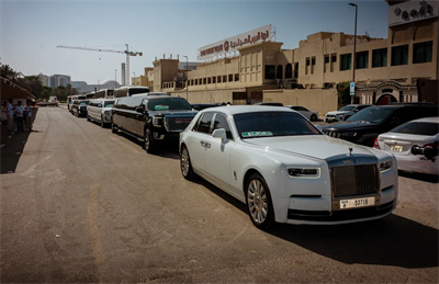 2025绿之韵碧波庭总监迪拜尊享之旅圆满收官