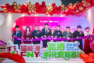 四川福能源沈阳分公司开业 直播基地揭牌圆满举行
