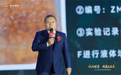 共赢大未来！2025安然纳米营销表彰盛典圆满举办