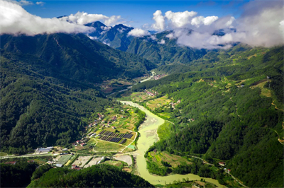 专家见证，无限极养固健如何炼就高品质灵芝