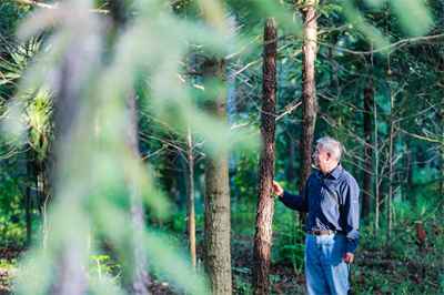 专家见证，无限极养固健如何炼就高品质灵芝