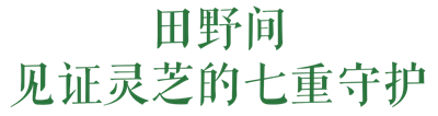 专家见证，无限极养固健如何炼就高品质灵芝