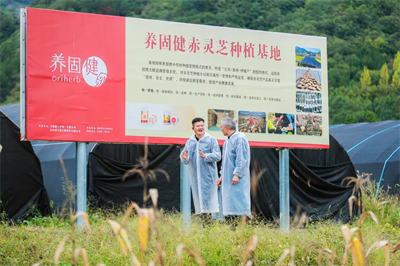 专家见证，无限极养固健如何炼就高品质灵芝