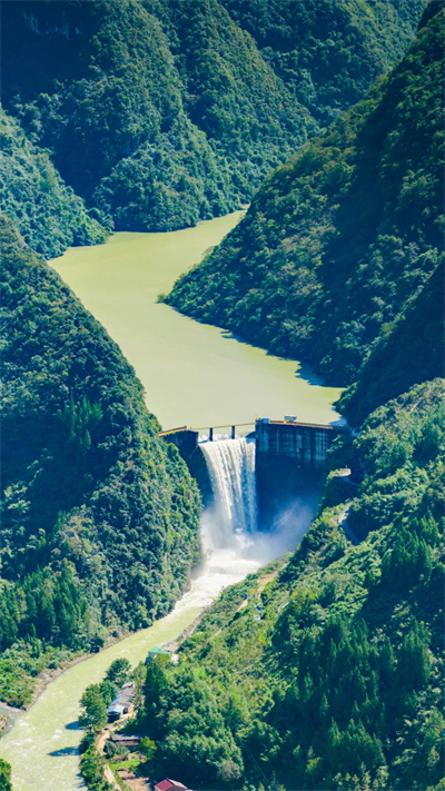 专家见证，无限极养固健如何炼就高品质灵芝