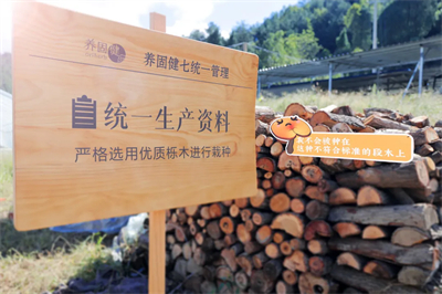 专家见证，无限极养固健如何炼就高品质灵芝