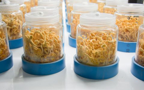 冬天不是“休眠期”，而是身体休养的黄金窗口