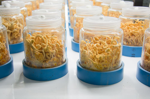 冬天不是“休眠期”，而是身体休养的黄金窗口