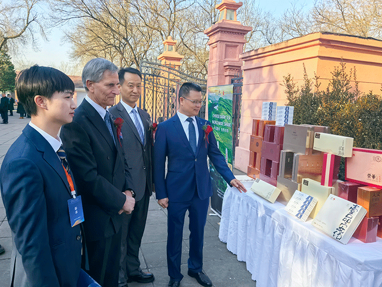 理想华莱精彩亮相“保加利亚经贸文旅推介会暨中国企业出海对接会”
