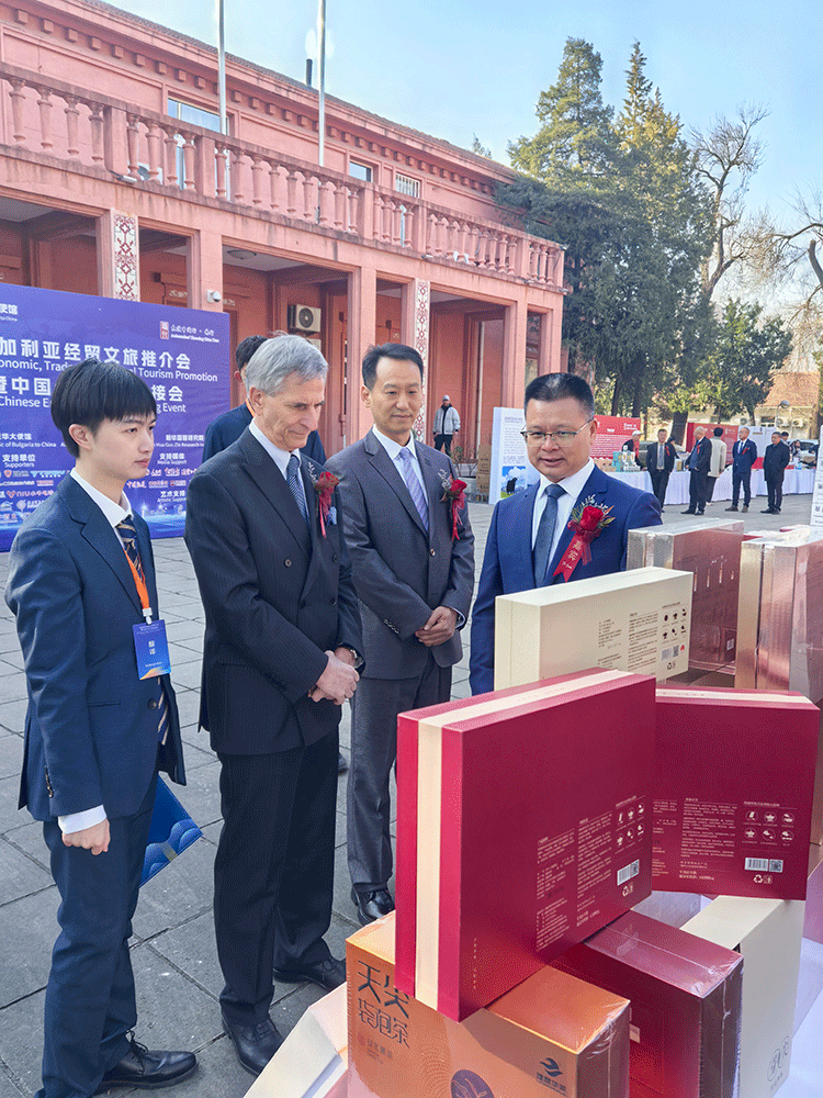 理想华莱精彩亮相“保加利亚经贸文旅推介会暨中国企业出海对接会”