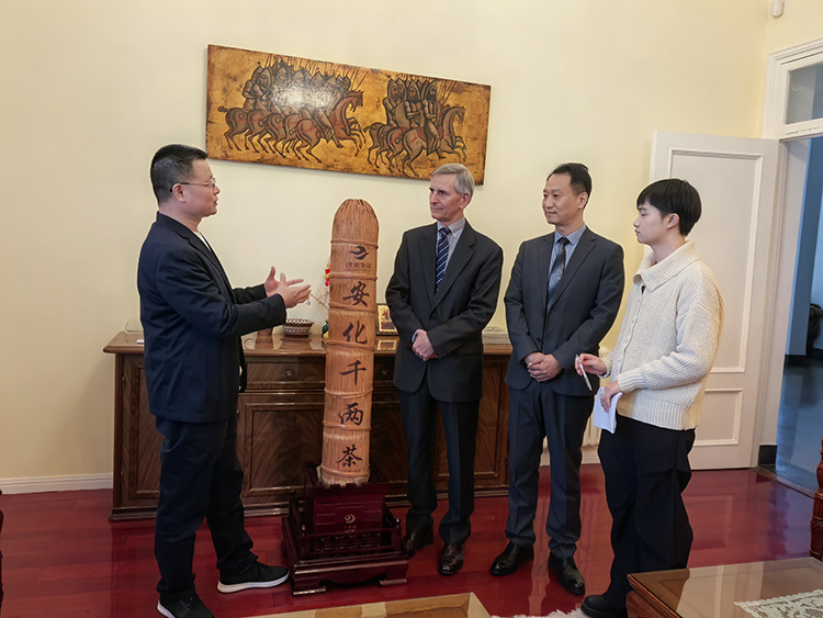 理想华莱精彩亮相“保加利亚经贸文旅推介会暨中国企业出海对接会”