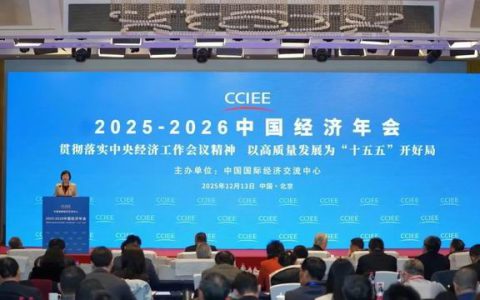 金天国际受邀出席中国经济年会再次连任理事