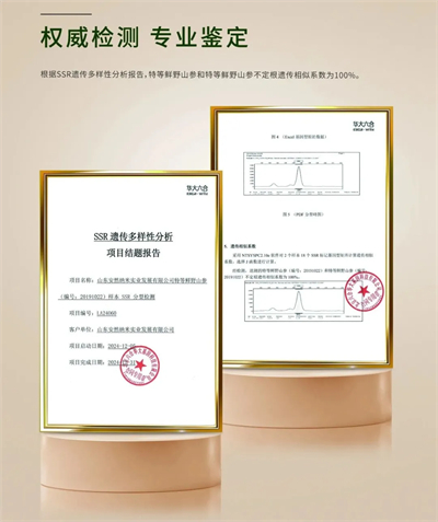 安然纳米入选2025华夏大健康“赋能美好生活案例”