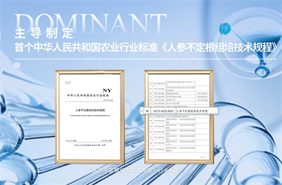 安然纳米入选2025华夏大健康“赋能美好生活案例”