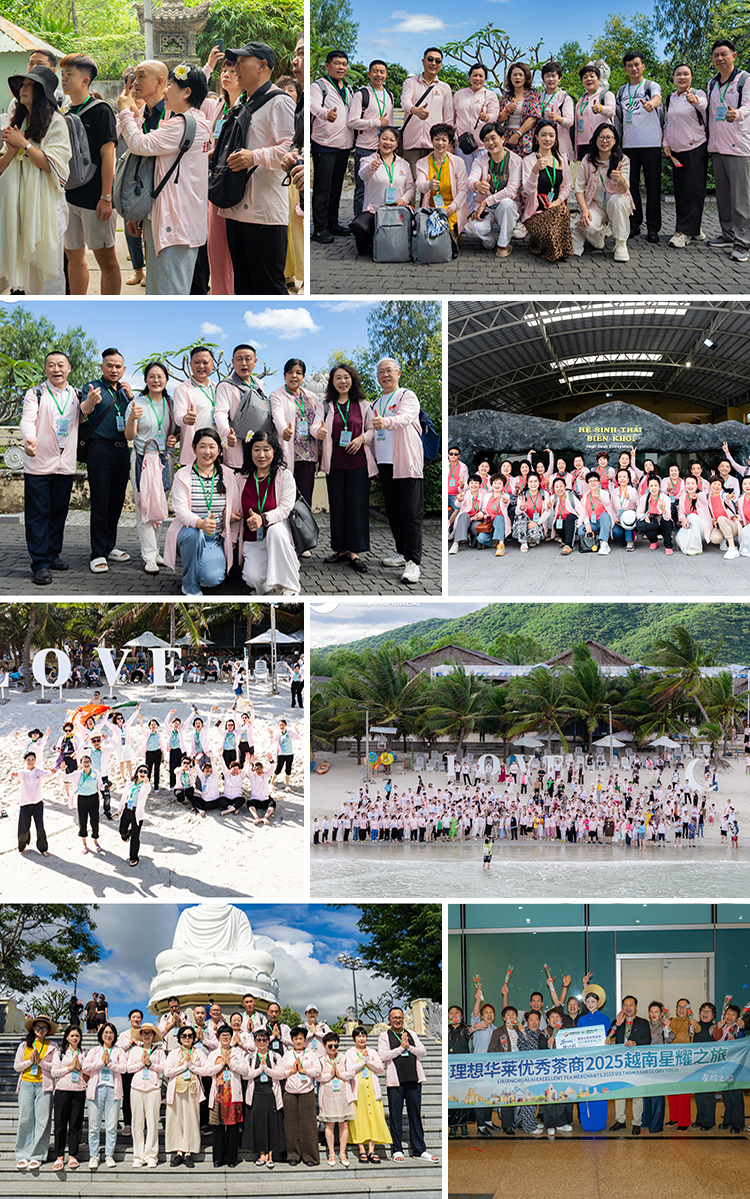 茶养人生，悦起新程——理想华莱2025优秀茶商越南星耀之旅圆满收官
