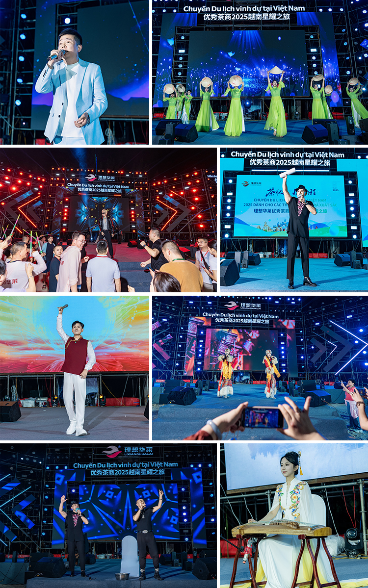 茶养人生，悦起新程——理想华莱2025优秀茶商越南星耀之旅圆满收官