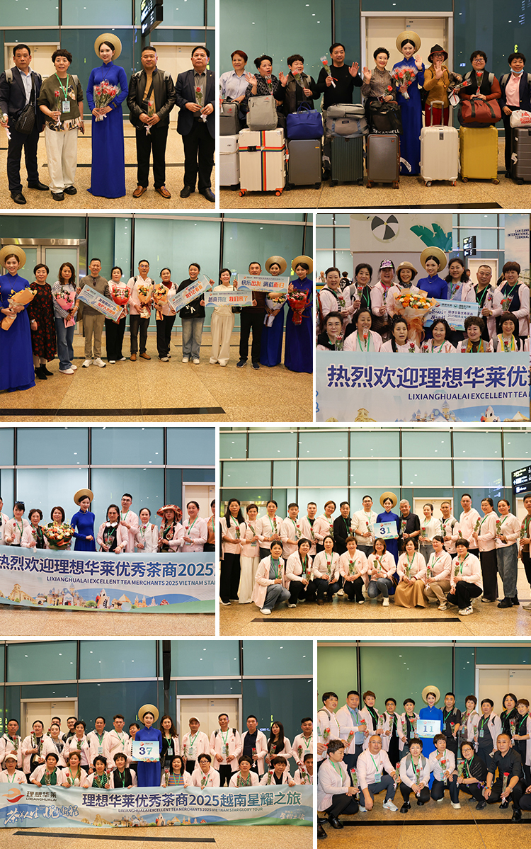 茶养人生，悦起新程——理想华莱2025优秀茶商越南星耀之旅圆满收官