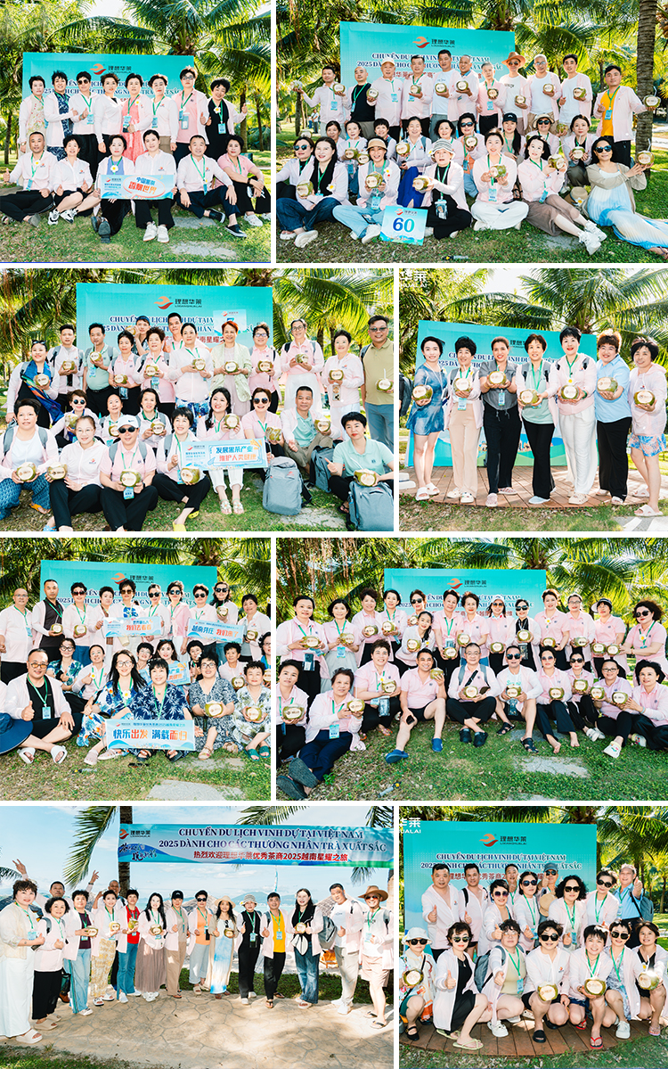 茶养人生，悦起新程——理想华莱2025优秀茶商越南星耀之旅圆满收官